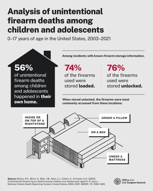 2024 US Surgeon General Advisory on Firearm Violence figure